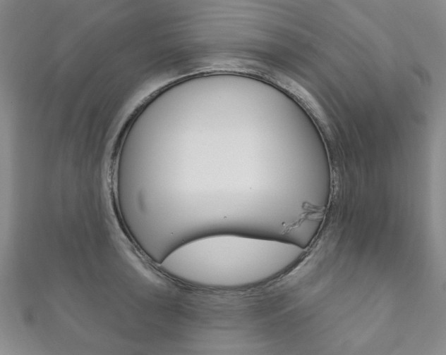 X0000111871043200907231147
