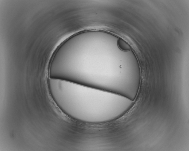 X0000111871044200907231147
