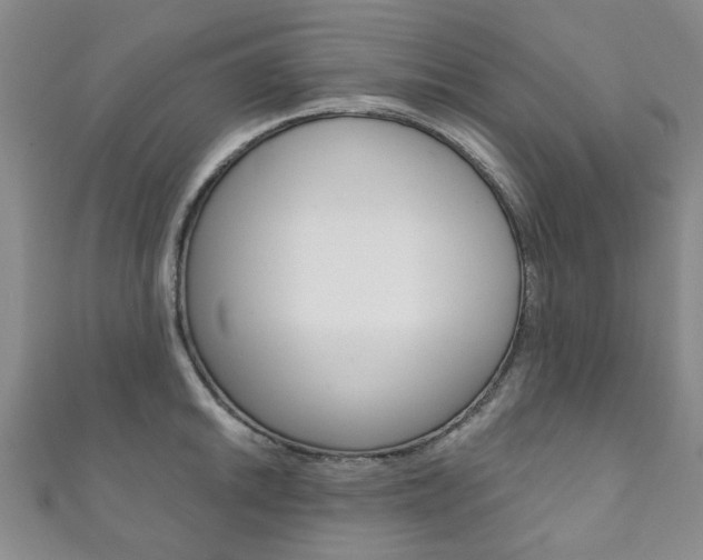 X0000111871046200907231147