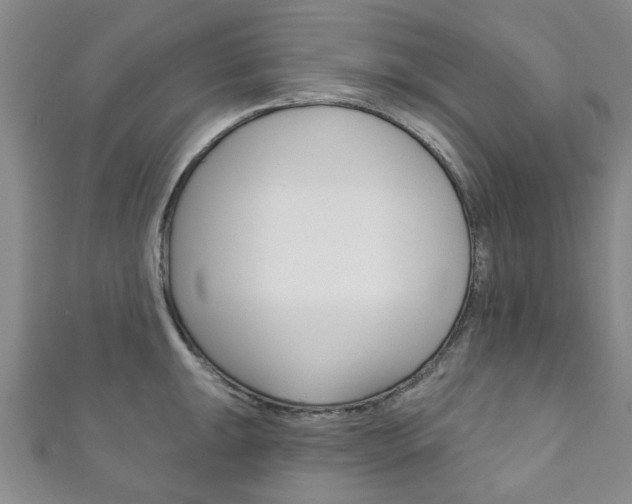 X0000111871047200907231147