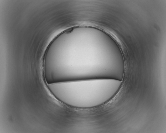 X0000111871048200907231147