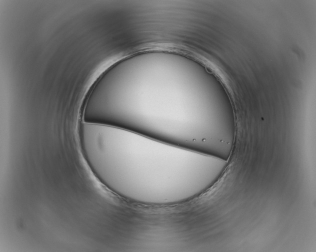 X0000111871050200907231147