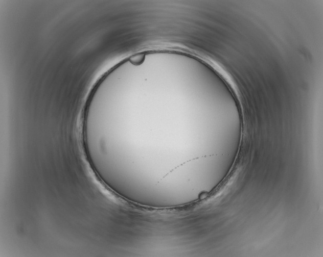 X0000111871053200907231147