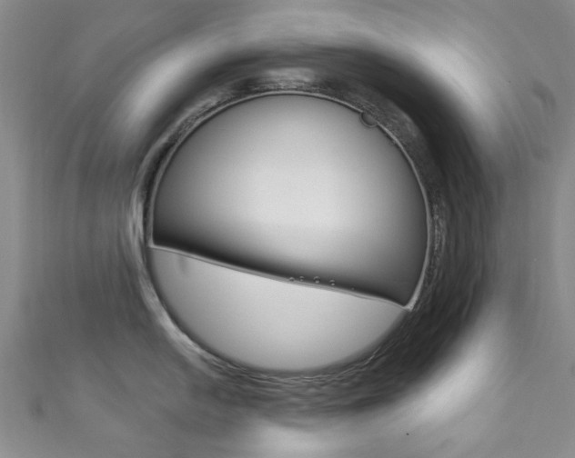 X0000111871054200907231147