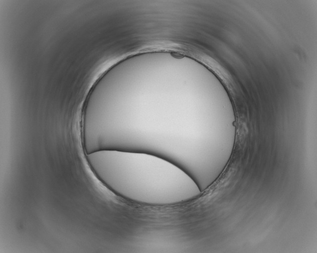X0000111871055200907231147