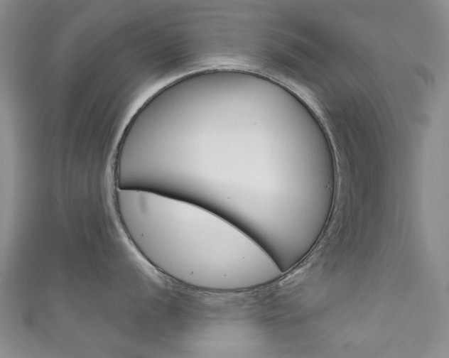 X0000111871056200907231147