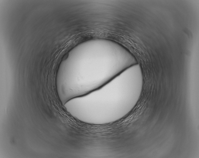 X0000111871057200907231147