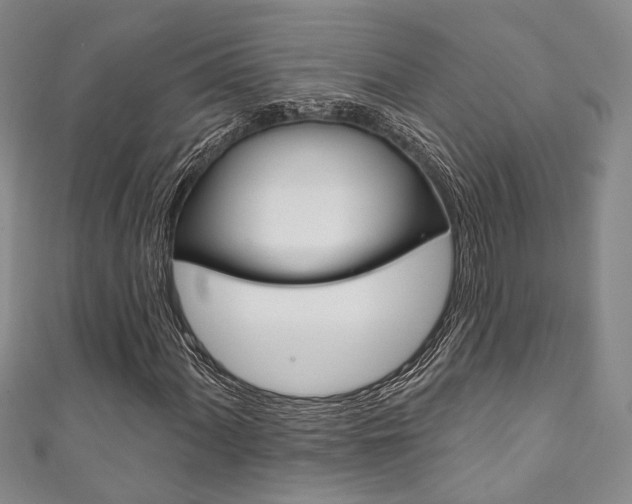 X0000111871060200907231147