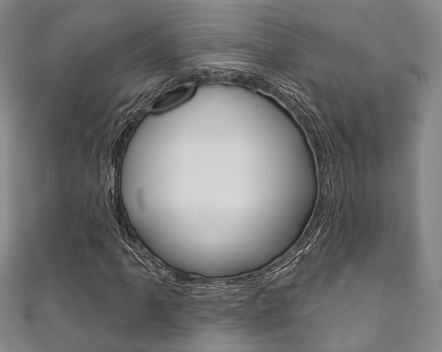 X0000111871061200907231147