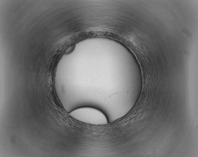 X0000111871062200907231147