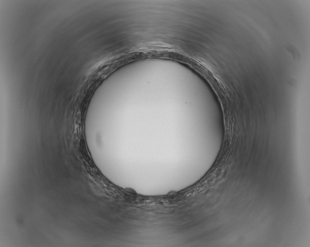 X0000111871063200907231147