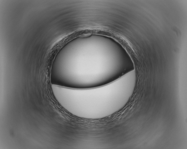 X0000111871064200907231147