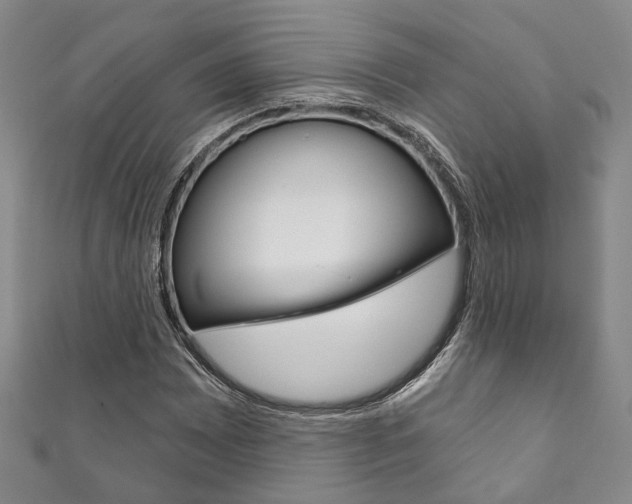 X0000111871065200907231147