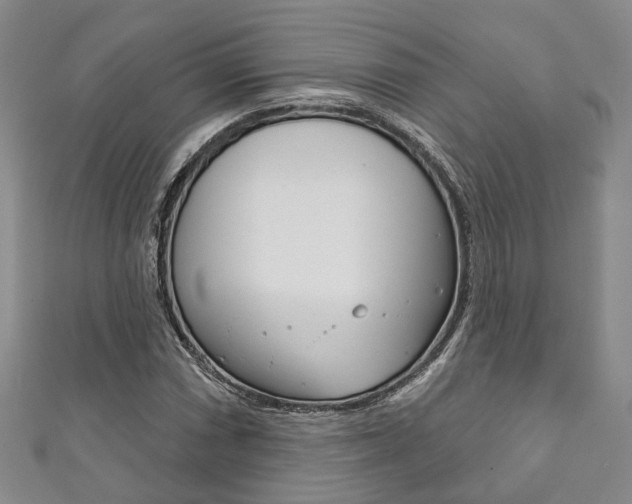 X0000111871066200907231147