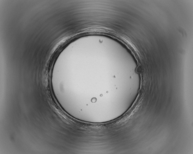X0000111871067200907231147