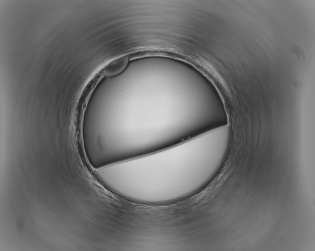 X0000111871068200907231147