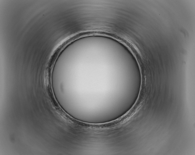 X0000111871069200907231147
