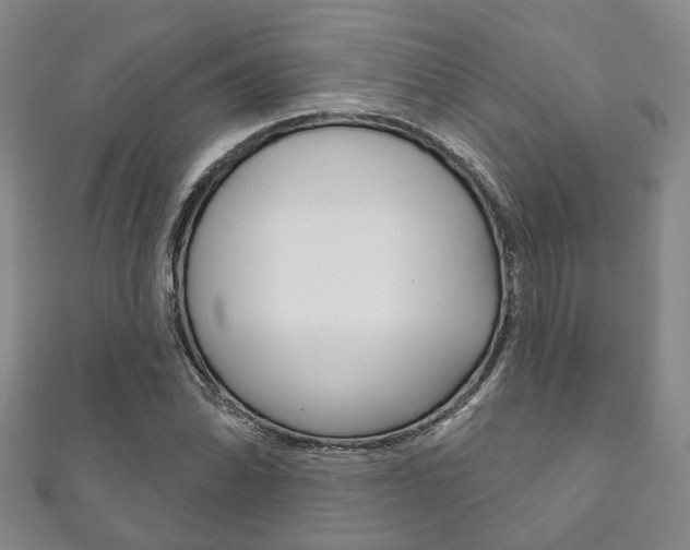 X0000111871070200907231147