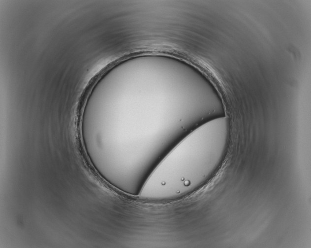 X0000111871071200907231146