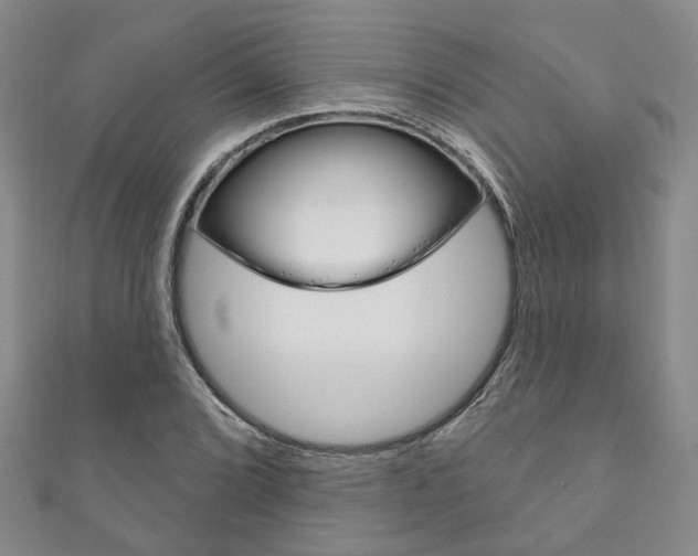 X0000111871072200907231146