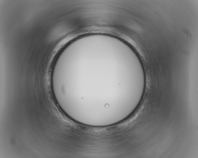 X0000111871074200907231146