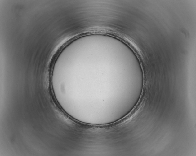 X0000111871075200907231146