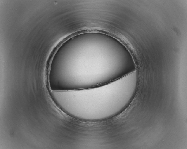 X0000111871076200907231146