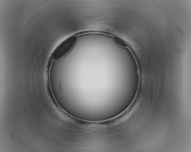 X0000111871077200907231146