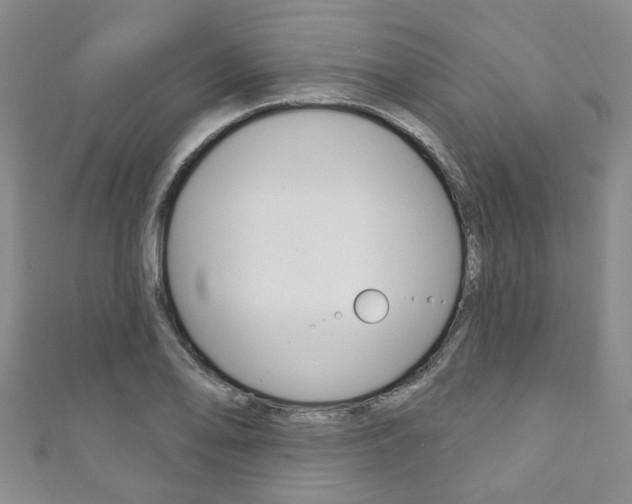 X0000111871078200907231146