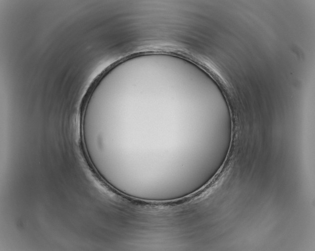 X0000111871079200907231146