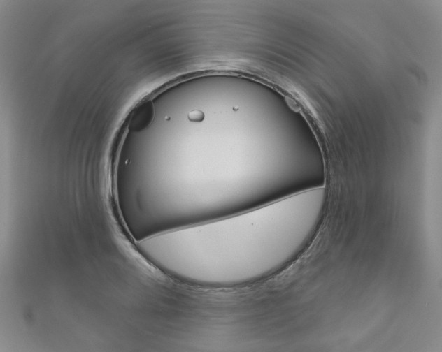 X0000111871080200907231146