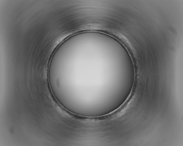 X0000111871081200907231146