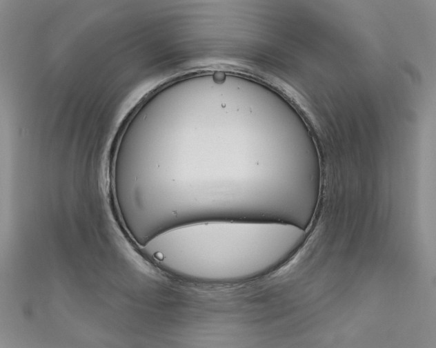 X0000111871082200907231146