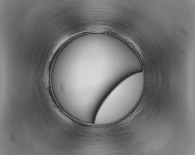 X0000111871083200907231146