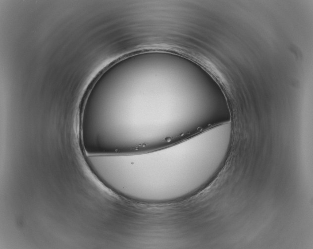 X0000111871084200907231146