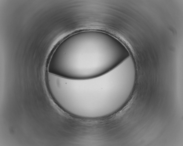 X0000111871085200907231146