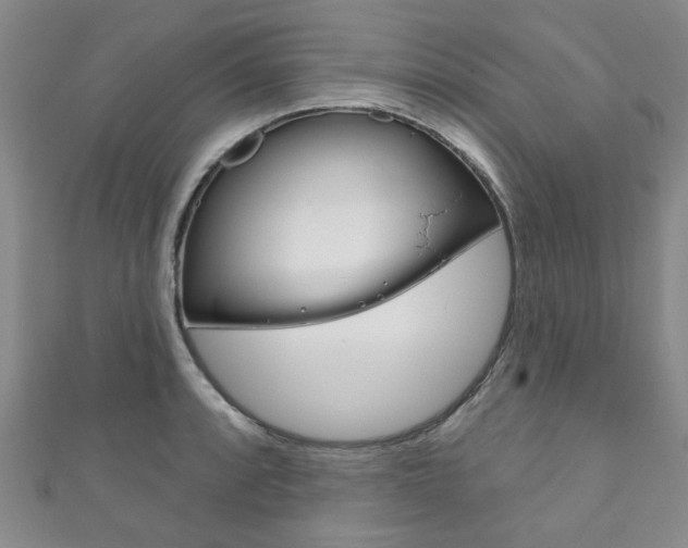 X0000111871088200907231146