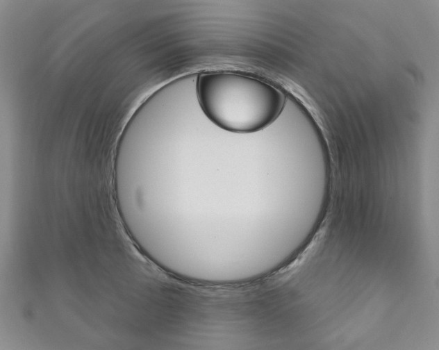 X0000111871089200907231146
