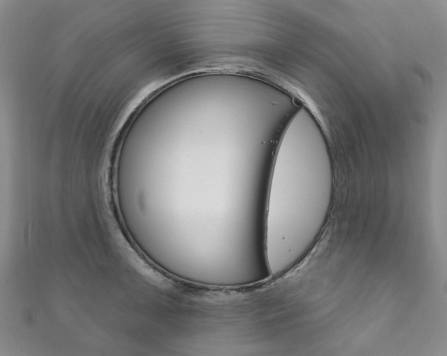 X0000111871091200907231146