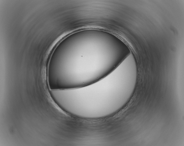 X0000111871092200907231146