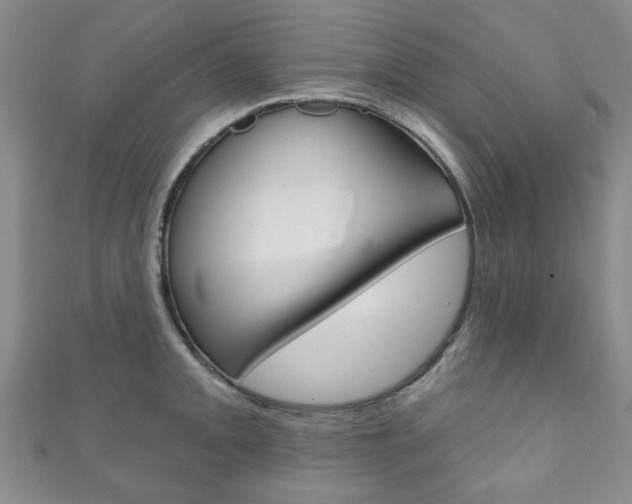 X0000111871093200907231146
