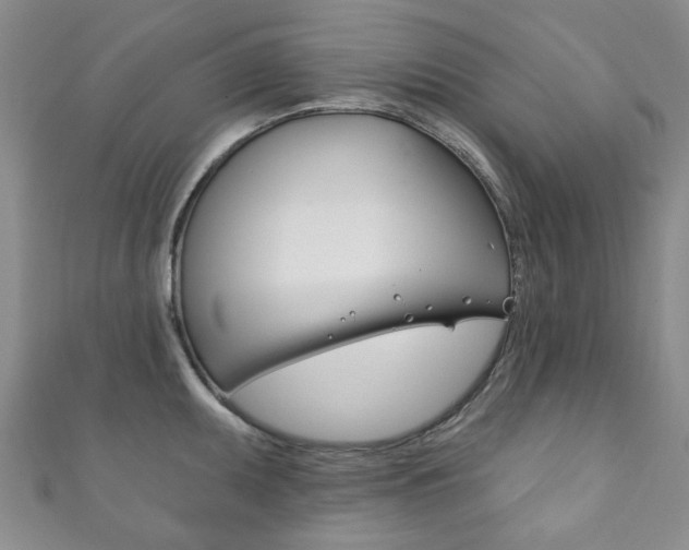 X0000111871095200907231146