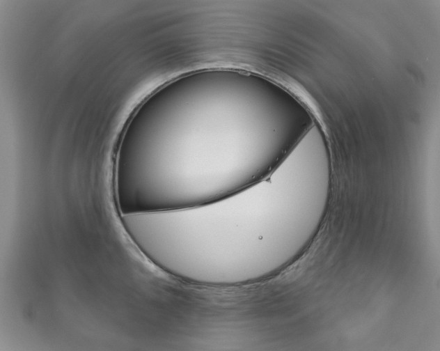 X0000111871096200907231146