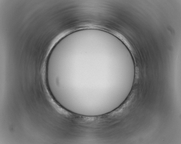 X0000111871098200907231146