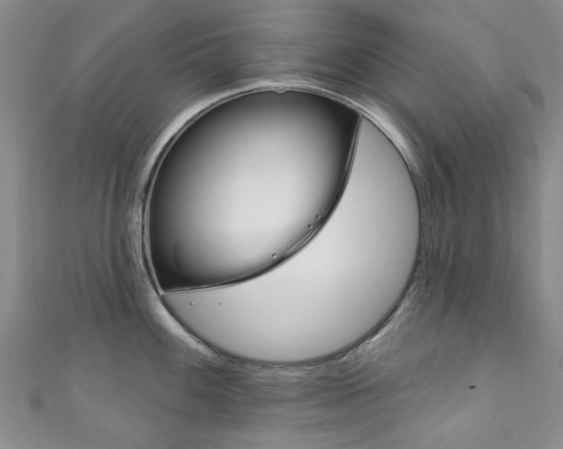 X0000111871100200907231146