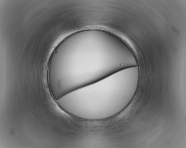 X0000111871102200907231146