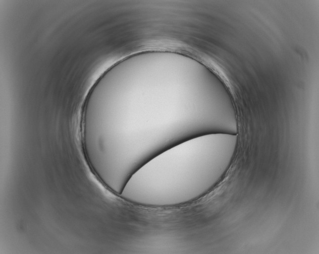 X0000111871103200907231146