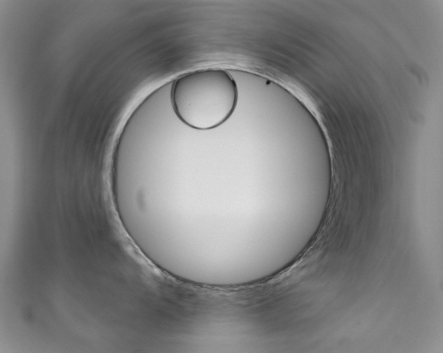 X0000111871104200907231146