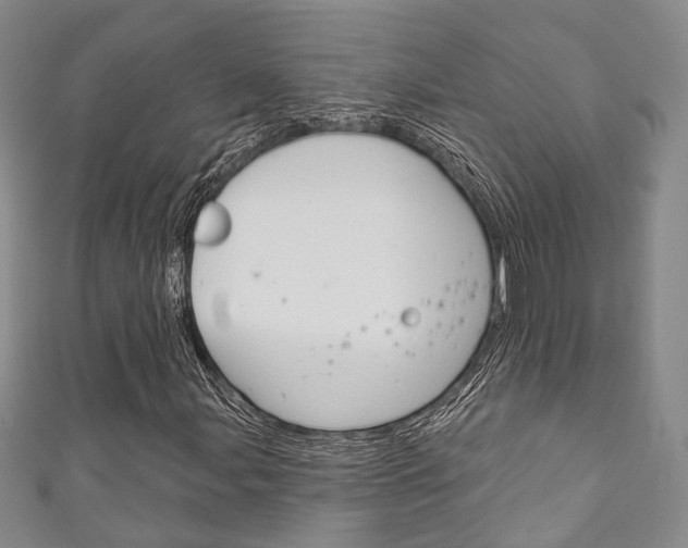 X0000111871107200907231145
