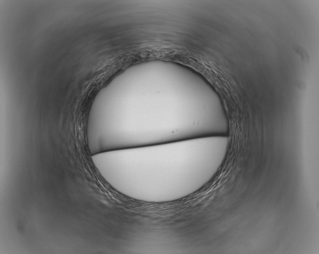 X0000111871109200907231146
